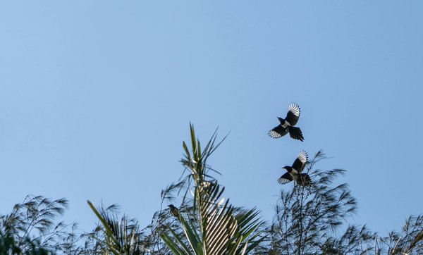 Carrières dynamiques dans le maintien à domicile : explorez un avenir professionnel prometteur